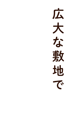 やいた里山いちご園